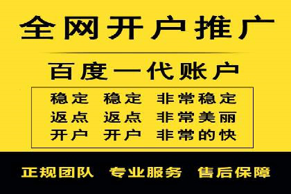 竞价排名中的数据分析和优化案例